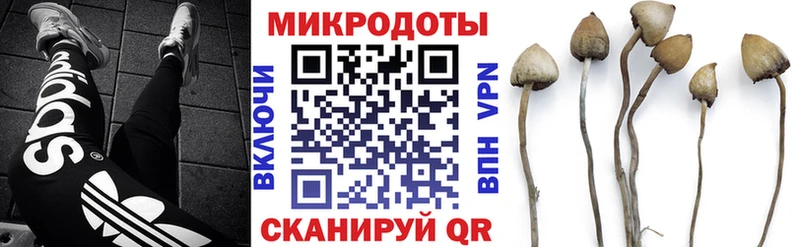 где можно купить наркотик  Котельнич  Галлюциногенные грибы Cubensis 